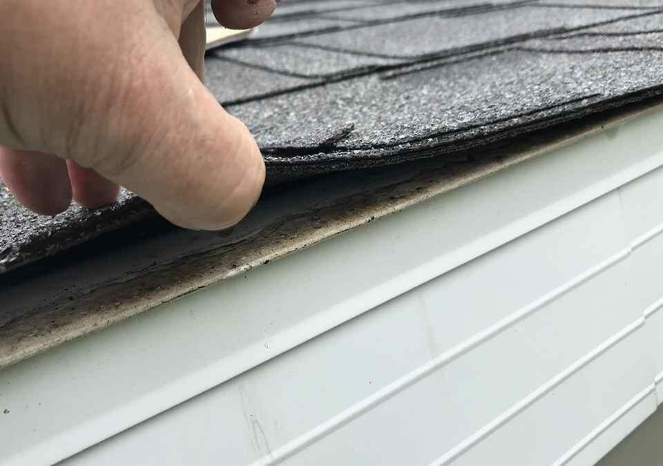 What are the things to Know if Your Asphalt Shingles Are Bad?